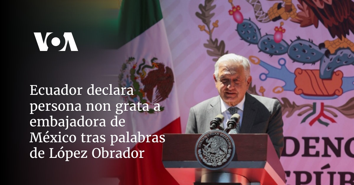 Ecuador Declara Persona Non Grata A Embajadora De M Xico Tras Palabras