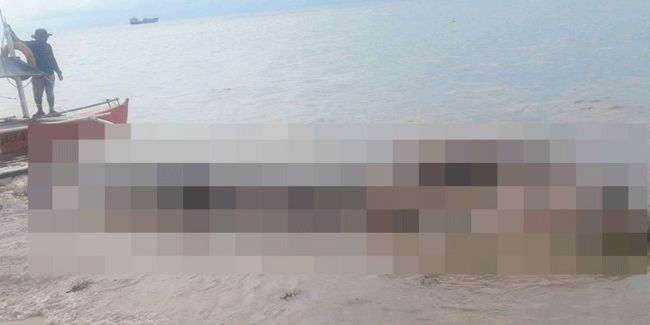 Criatura irreconocible aparece sin vida en una playa | Noticias de Buenaventura, Colombia y el Mundo