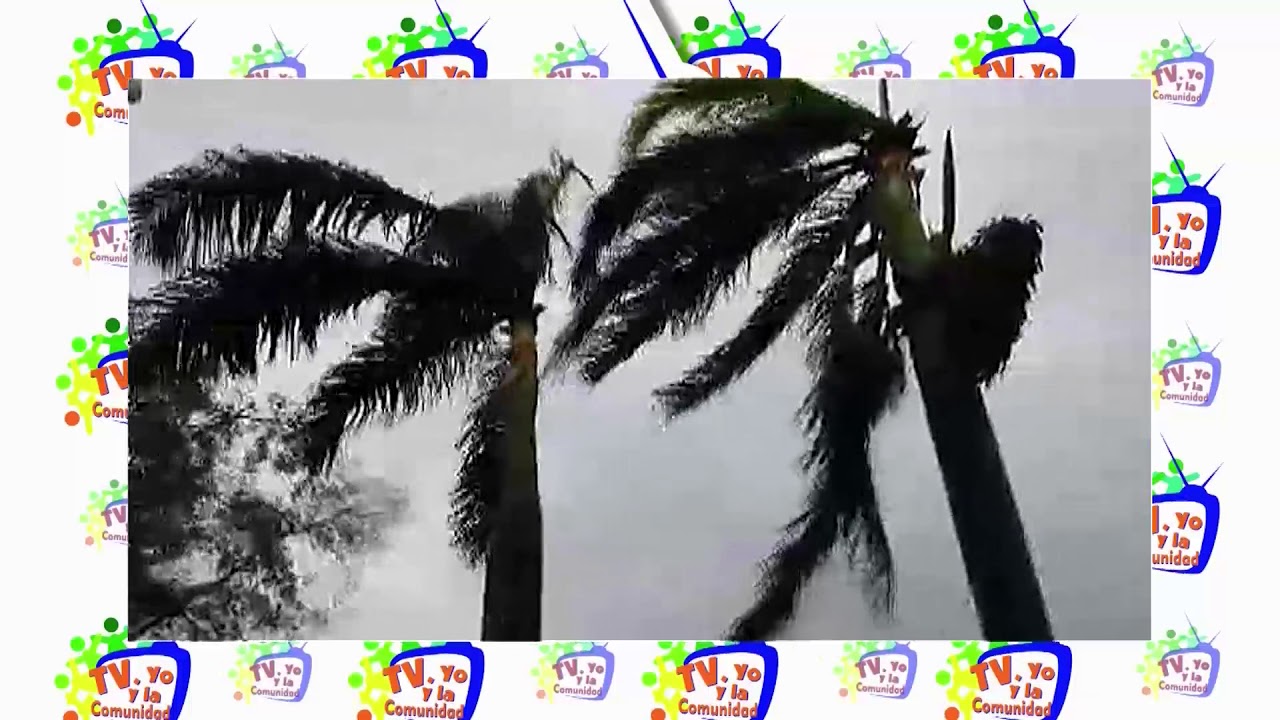 TV Yo y la comunidad: José Luis Muñoz viviendo el Huracán Irma | Noticias de Buenaventura, Colombia y el Mundo