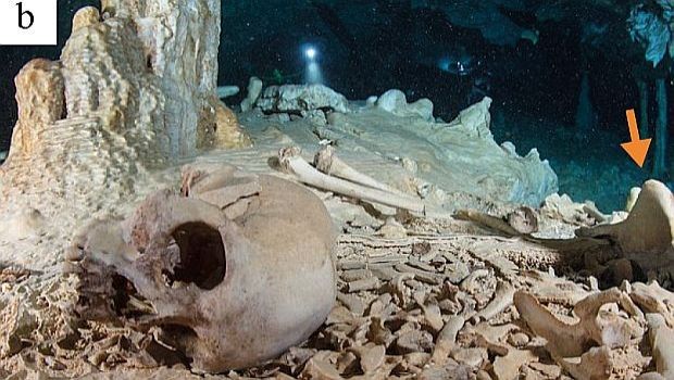 Hallados los restos humanos más antiguos de América | Noticias de Buenaventura, Colombia y el Mundo