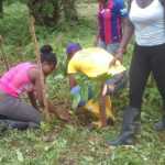 Felíz día del Árbol: Estudiantes reforestan bosque en el Bajo Calima | Noticias de Buenaventura, Colombia y el Mundo