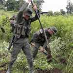 4 uniformados suspendidos por ataque a campesinos en Tumaco | Noticias de Buenaventura, Colombia y el Mundo