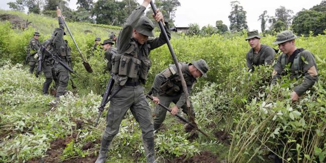 Un policía muerto y seis heridos en explosión de mina anti-persona en Tumaco | Noticias de Buenaventura, Colombia y el Mundo