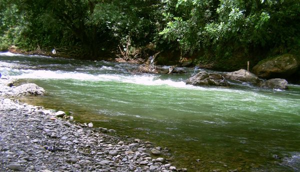 "No hay rastro de presencia de mercurio en el río dagua": CVC | Noticias de Buenaventura, Colombia y el Mundo