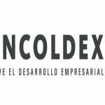 Bancoldex ha otorgado $4.000 millones a pequeñas y medianas empresas de Buenaventura | Noticias de Buenaventura, Colombia y el Mundo