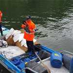 Armada Incauta una tonelada de pesca transportada de manera ilegal en Malpelo | Noticias de Buenaventura, Colombia y el Mundo