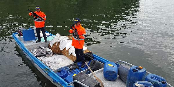 Armada Incauta una tonelada de pesca transportada de manera ilegal en Malpelo | Noticias de Buenaventura, Colombia y el Mundo