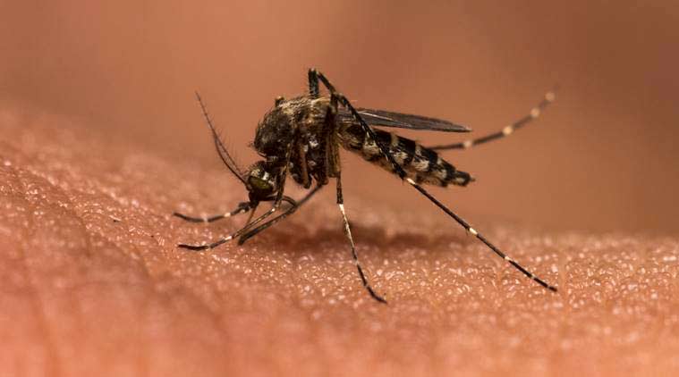 Continua intervención contra la malaria en la zona rural de Buenaventura | Noticias de Buenaventura, Colombia y el Mundo