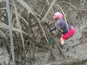 Maestra lidera programa de protección para 900 hectáreas de manglar | Noticias de Buenaventura, Colombia y el Mundo