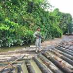 Armada incauta madera transportada ilegalmente | Noticias de Buenaventura, Colombia y el Mundo