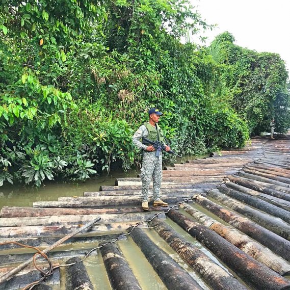 Armada incauta madera transportada ilegalmente | Noticias de Buenaventura, Colombia y el Mundo