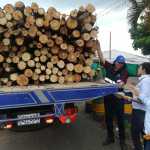 A partir de la fecha cambia solicitud de salvoconducto para transportar flora y fauna | Noticias de Buenaventura, Colombia y el Mundo