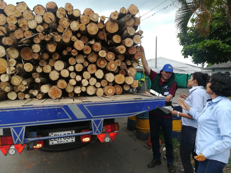 A partir de la fecha cambia solicitud de salvoconducto para transportar flora y fauna | Noticias de Buenaventura, Colombia y el Mundo