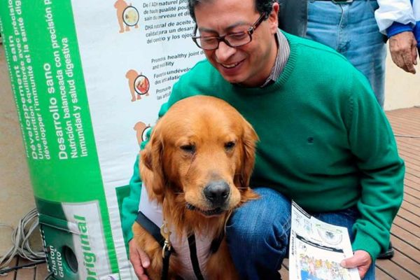Gustavo Petro ahora cuenta con el apoyo de los animalistas para segunda vuelta | Noticias de Buenaventura, Colombia y el Mundo