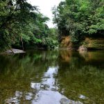 Autoridades sorprendieron a varias personas haciendo turismo en los ríos el fin de semana | Noticias de Buenaventura, Colombia y el Mundo