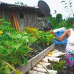 El desencanto de las comunidades del río San Juan tras su retorno | Noticias de Buenaventura, Colombia y el Mundo