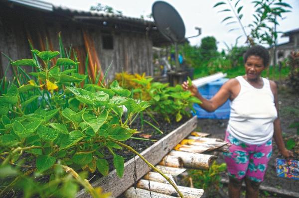 El desencanto de las comunidades del río San Juan tras su retorno | Noticias de Buenaventura, Colombia y el Mundo