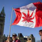 Canadá reglamenta el uso de la marihuana recreativa | Noticias de Buenaventura, Colombia y el Mundo
