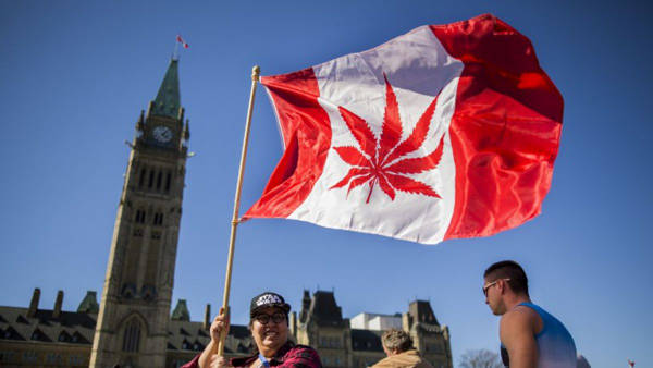 Canadá reglamenta el uso de la marihuana recreativa | Noticias de Buenaventura, Colombia y el Mundo