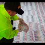 Delincuentes iban a poner a circular en las calles $7.000 millones en billetes falsos | Noticias de Buenaventura, Colombia y el Mundo