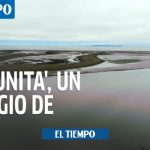 'La Cunita', un precioso refugio de vida en Nariño