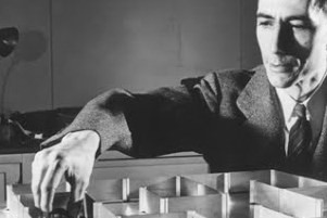 Claude Shannon, cuando el padre de la información estimó la información de nuestro ADN