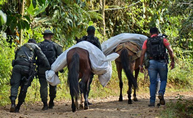 El billonario botín detrás de la 'guerra de la coca' en las montañas de Jamundí