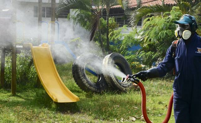 Investigan cuatro muertes por dengue en el Valle