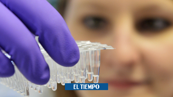 Colombia importó 50 mil pruebas para coronavirus desde Corea del Sur - Gobierno - Política