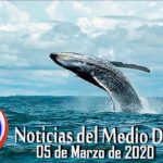 Noticiero de medio día Buenaventura 05 de Marzo de 2020 | Noticias de Buenaventura, Colombia y el Mundo