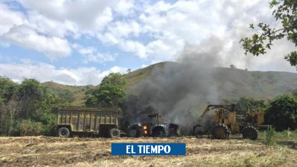 Denuncian ataques contra cultivos de ingenio en el Valle del Cauca - Cali - Colombia