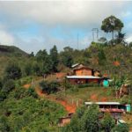 Otro líder asesinado en Cauca - Cali - Colombia