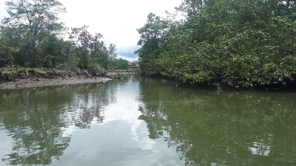 Encuentra el cuerpo sin vida del joven pescador desaparecido en Buenaventura