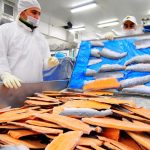 China se suma a los países con certificación en línea para exportaciones de productos pesqueros y acuícolas chilenos