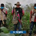 Coronavirus: Guardias indígenas en Colombia se protegen contra covid-19 - Medio Ambiente - Vida