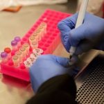FOTO DE ARCHIVO. Los investigadores del Centro de Investigación de Microbiología trabajan con muestras de coronavirus a medida que un ensayo comienza a ver si el tratamiento de la malaria con hidroxicloroquina puede prevenir o reducir la gravedad de la enfermedad por coronavirus (COVID-19), en la Universidad de Minnesota, en Minneapolis, Minnesota, EEUU. 19 de marzo de 2020. REUTERS/Craig Lassig.