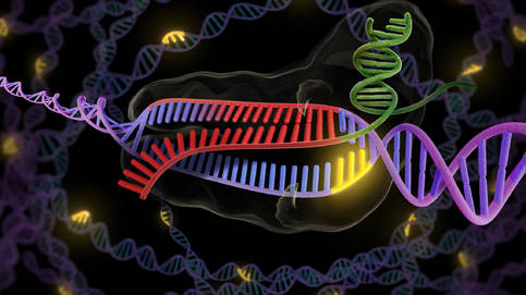 La tecnología CRISPR, una posible prueba del virus simple como un test de embarazo