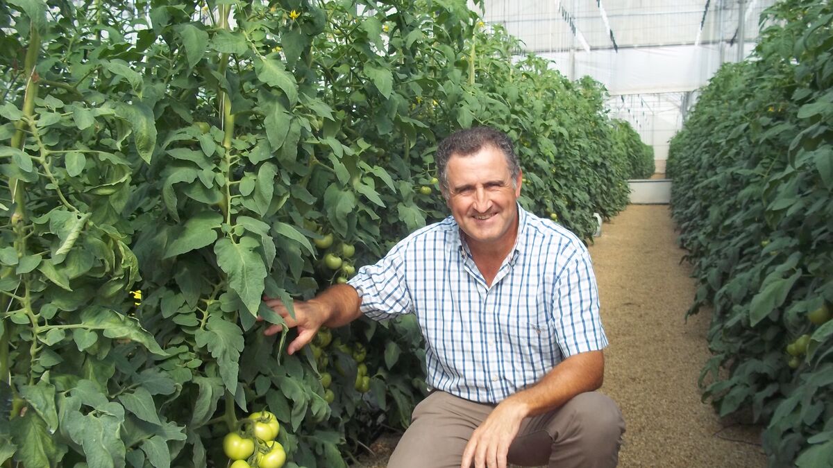“La tecnología y el esfuerzo que hay detrás del tomate sorprenden”