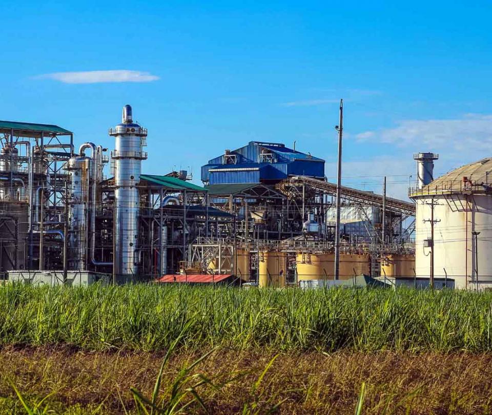 Las claves de la liquidación de Bioenergy, la empresa de Ecopetrol que fracasó - Empresas - Economía