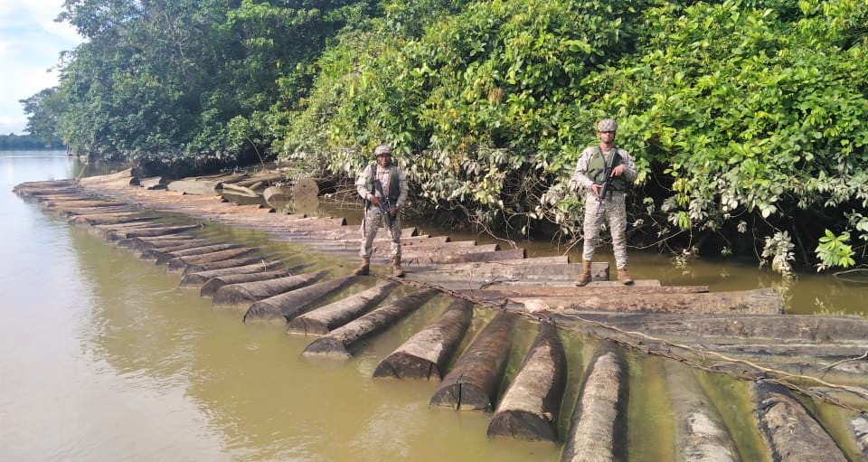 Armada incautó 905 trozos de madera cortada ilegalmente en el Pacífico | Noticias de Buenaventura, Colombia y el Mundo