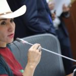 Amanda Rocío, la senadora uribista que se le rebeló a su partido - Congreso - Política