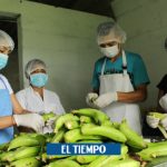 De campesinos a empresarios del plátano en Florida, Valle - Sectores - Economía
