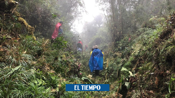 En Cauca y Huila comunidad y excombatientes recuperan sendero ancestral - Cali - Colombia