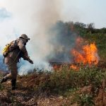 El Pantanal, santuario de biodiversidad, sufre los incendios más graves de los últimos 20 años