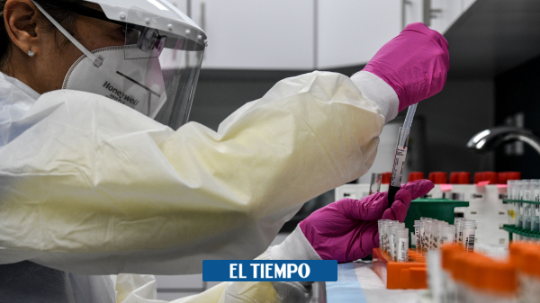 Es hora de que Colombia dé el salto a la ‘diplomacia científica’ - Ciencia - Vida
