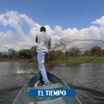 La recuperación de la laguna afectada con maquinaria - Cali - Colombia