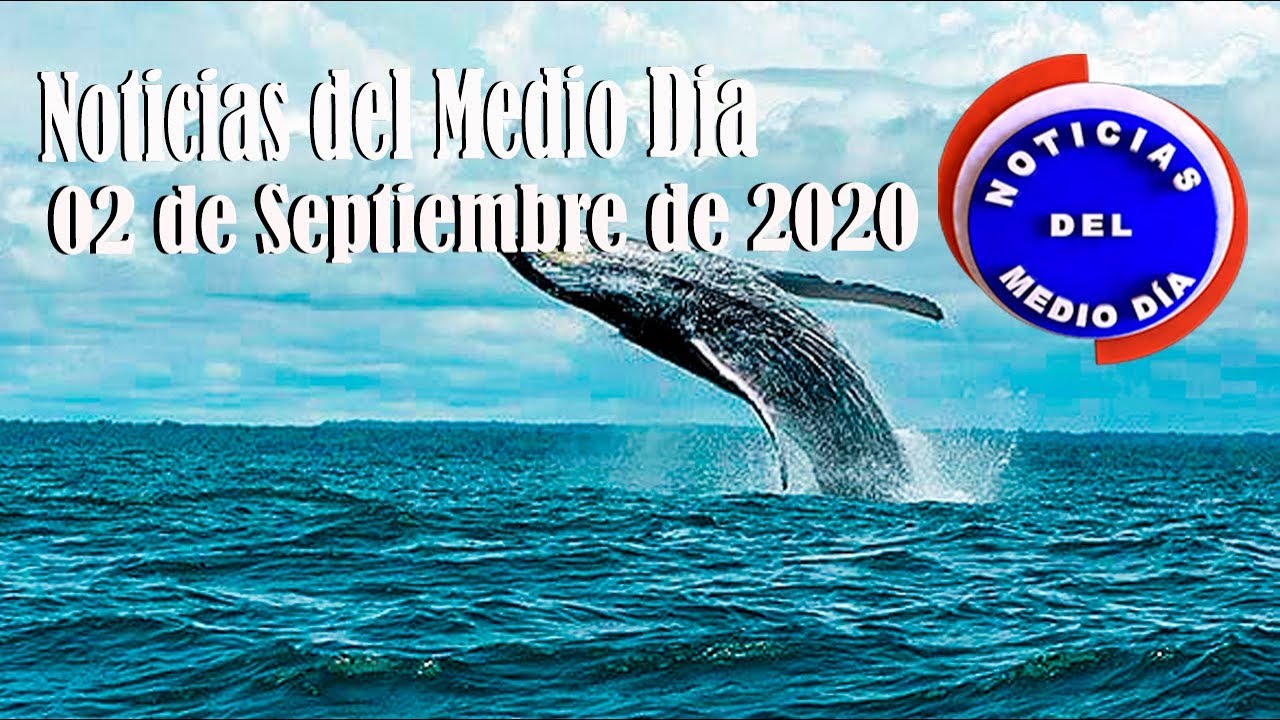 Noticiero de medio día Buenaventura 02 de Septiembre de 2020 | Noticias de Buenaventura, Colombia y el Mundo