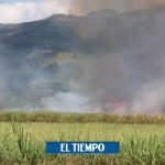 Área para quema de la caña se reduce a más de la mitad en el Valle - Cali - Colombia