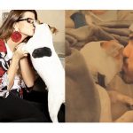Carolina Cruz y Lincoln Palomeque despiden a su perro "Dandy"; murió tras 12 años de convivir con ellos
