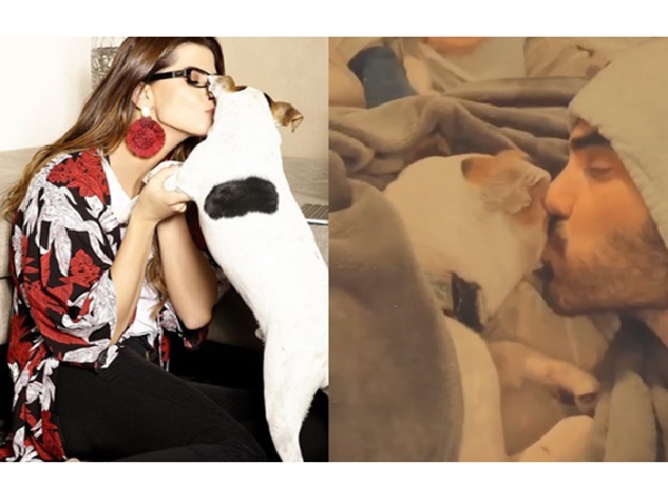 Carolina Cruz y Lincoln Palomeque despiden a su perro "Dandy"; murió tras 12 años de convivir con ellos